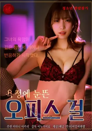 《大明王朝1566》经典海报